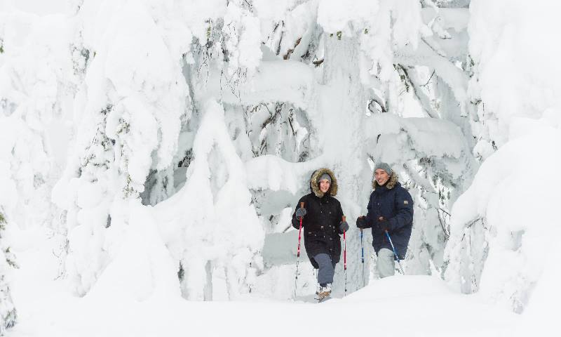 two-people-in-a-Nordic-winter-scene-in-front-of-snow-covered trees