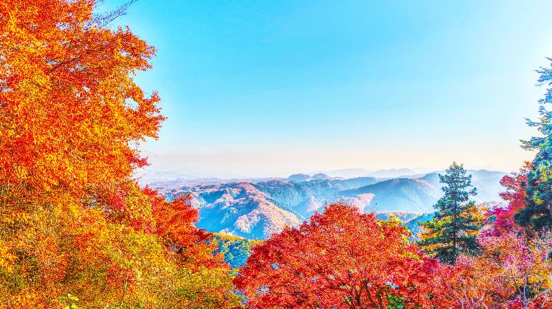 View-of-the-mountains-from Mt-Takeo-thView of Mount Fuji with the volcano reflected in the water and autumn leavesings-to-do-in-Tokyo