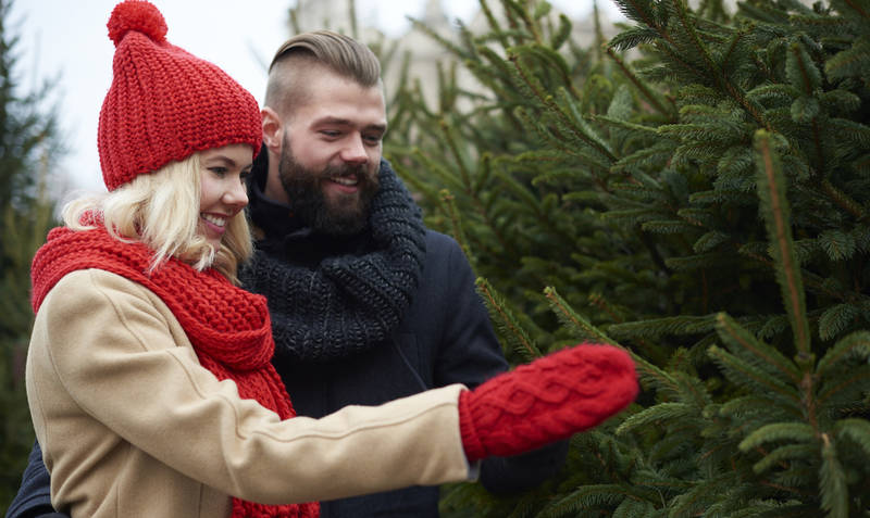 traditional-ways-celebrate-christmas in america-picking-out-tree