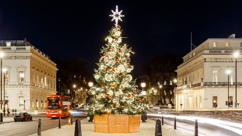 Christmas-in-the-UK-Christmas-tree-in-London