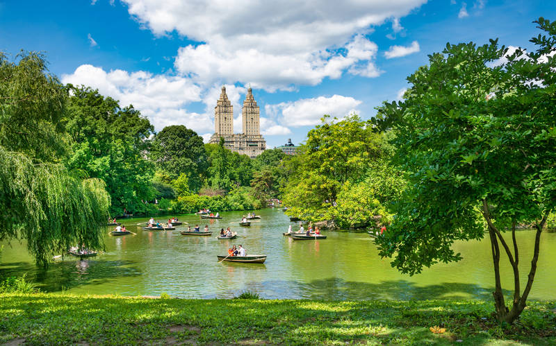 touring new york on a budget-central-park