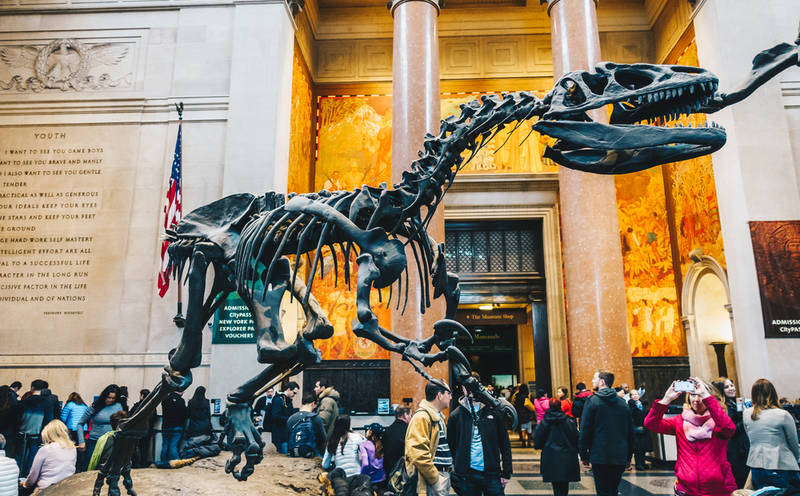 touring new york on a budget-museums