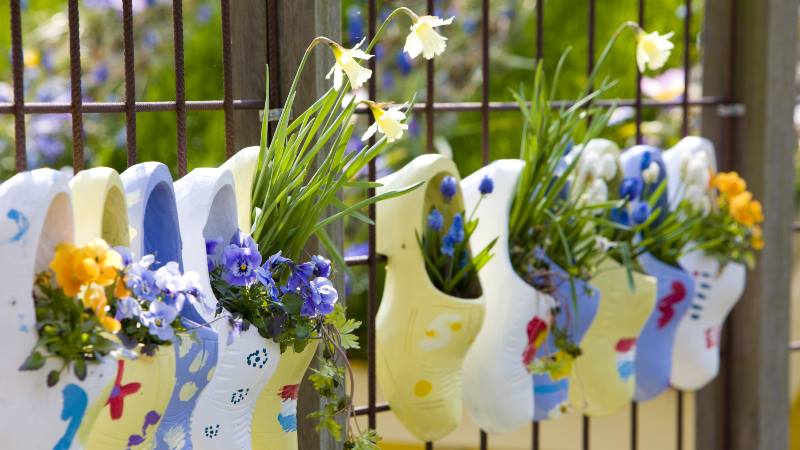 clogs-with-flowers-as-part-of-display-and-a-day-at-keukenhof