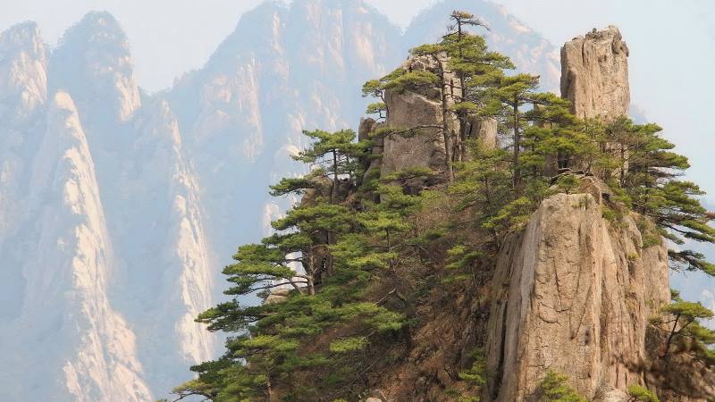 The-Huangshan-mountain-in-China-view-of-trees-on-the-mountain-edge-mountains-to-climb