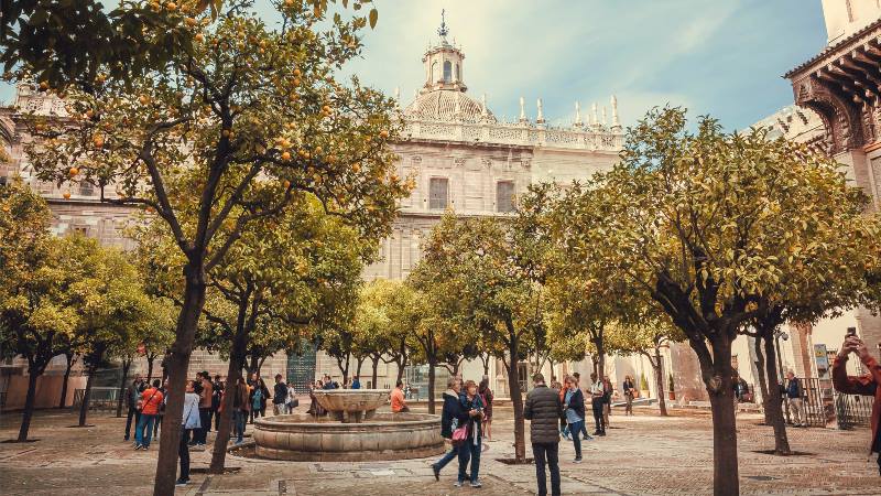 People-near-the-cathedral-with-the orange-trees