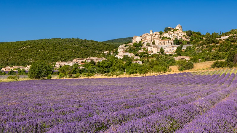 Into Provence from Avignon