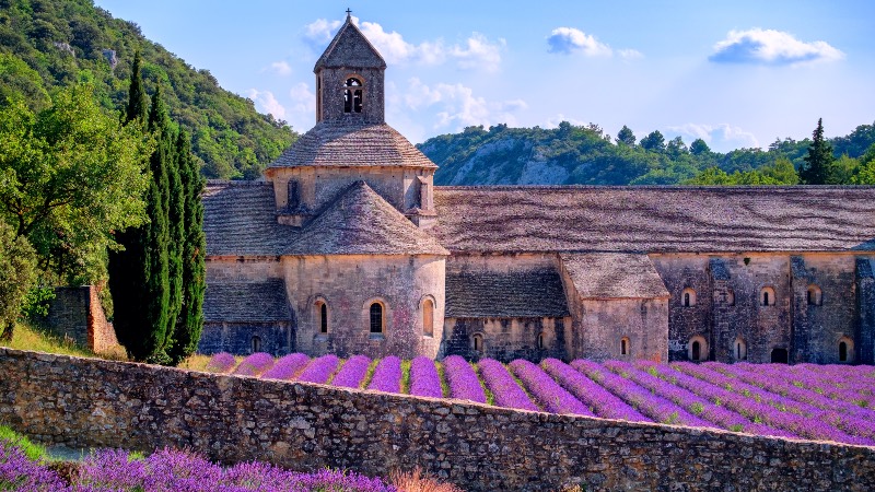 Out to Provence and the lavender fields