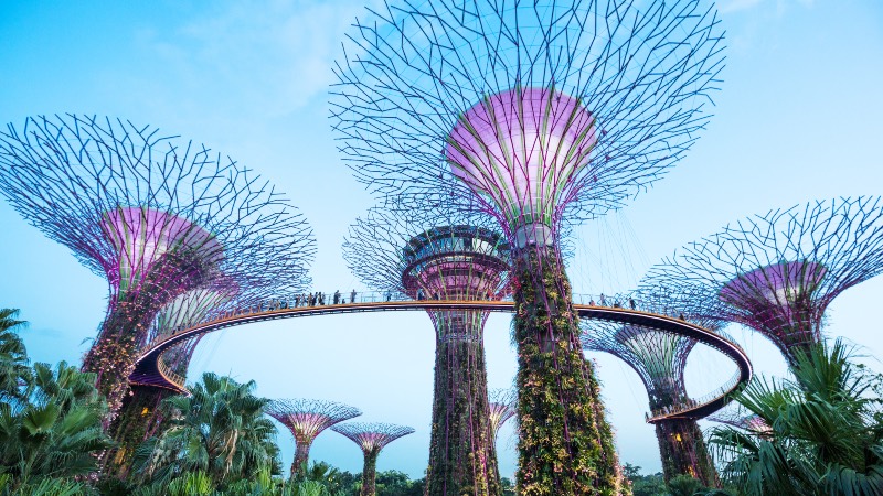 Gardens by the bay in Singapore