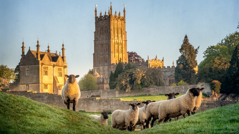 View of sheep in a Cotswold town near Startford Upon Avon