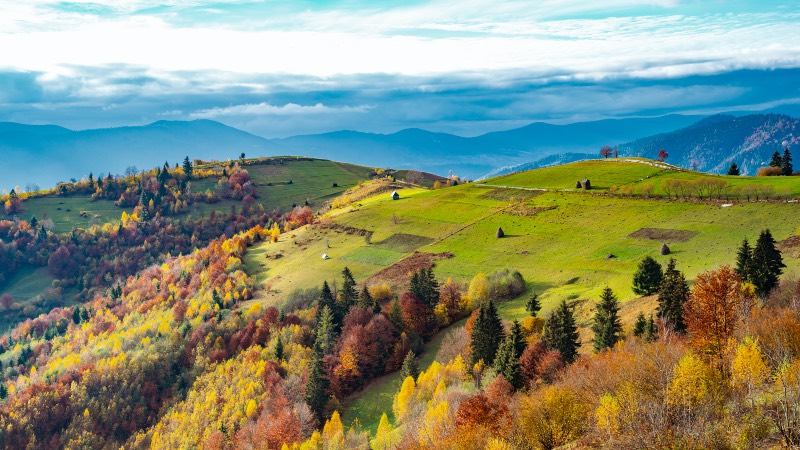 The Small Carpathians near Bratislava